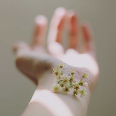 Cécile Saint-Beat, Praticien de Médecine Alternative à Langon
