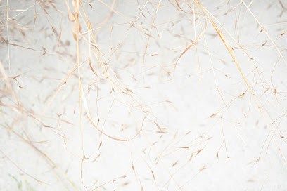 Marine Chuberre Réflexologue Drainage Lymphatique Maderothérapie, Réflexologue à Eole-en-Beauce