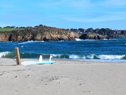 Arbre à soie Delphine Gomba Hypnothérapeute, Hypnothérapeute à Pontivy