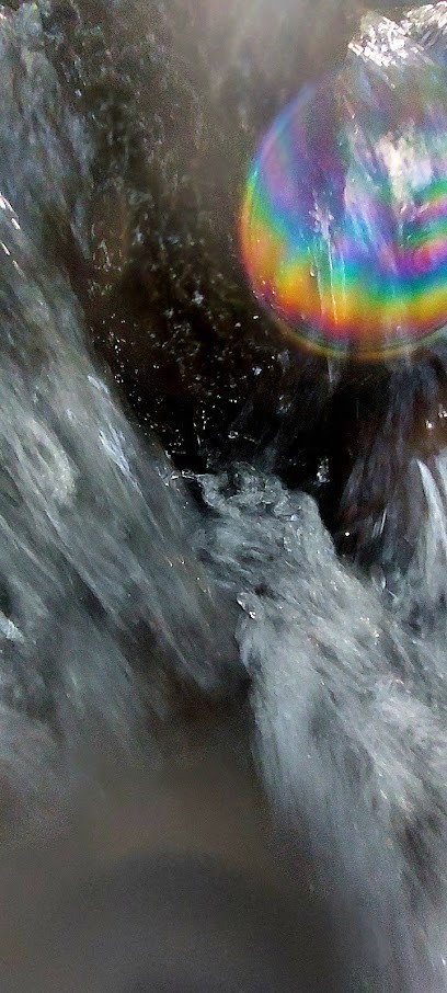 Joelle Deluntsch Chamane, Guérisseuse, Praticien de Médecine Alternative à Rosheim