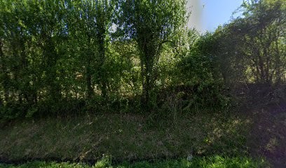 Catherine CERRINI - Naturopathe / Hypnothérapeute, Praticien de Médecine Alternative à Gageac-et-Rouillac