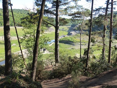 Patrick PINEAU Magnétiseur, Praticien de Médecine Alternative à Orvault