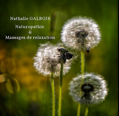 EI GALBOIS Nathalie, Praticien de Médecine Alternative à Bouillé-Courdault