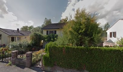 Ginkgo Santé, Praticien de Médecine Alternative à Lunéville