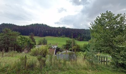 CLAUDE Aline Ortho-Bionomy, Praticien de Médecine Alternative à Sapois
