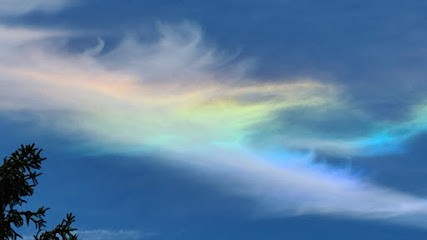 Penot Patricia, Praticien de Médecine Alternative à Barbey