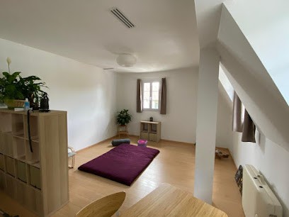 Atelier des neurones, Praticien de Médecine Alternative à Cesson