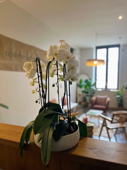 Evexia - Sophie Dufour Sophrologue, Praticien de Médecine Alternative à Beaune