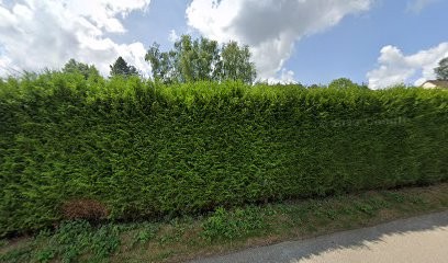 Hamel Béatrice Magnétiseur, Praticien de Médecine Alternative à Anceaumeville