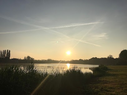 Combourg Somatopathie, Praticien de Médecine Alternative à Combourg