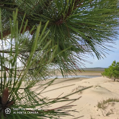 Praticien Trame, Praticien de Médecine Alternative à Gennes-sur-Seiche