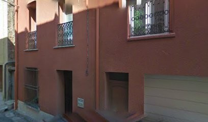 Sophie Bertaud, Praticien de Médecine Alternative à Pézilla-la-Rivière