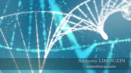 Anthony LIMOUZIN OSTEOTHERAPEUTE EI, Praticien de Médecine Alternative à Jaunay-Marigny