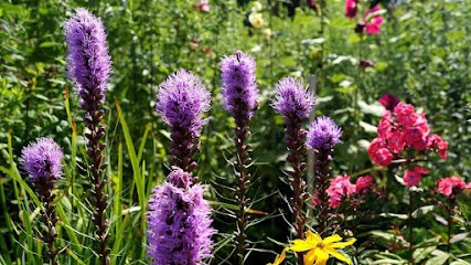 Juliette Teixeira, Naturopathe - Consultation, Massage-Bien-Etre, Réflexologie Plantaire, Drainage Lymphatique, Chi Nei Tsang, Praticien de Médecine Alternative à Sailly-sur-la-Lys