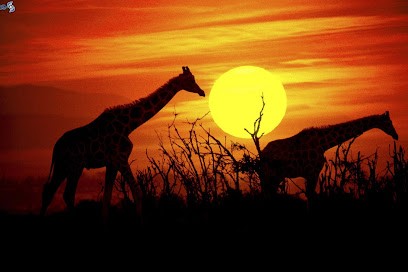 Vigneron Pierre, Praticien de Médecine Alternative à Grasse