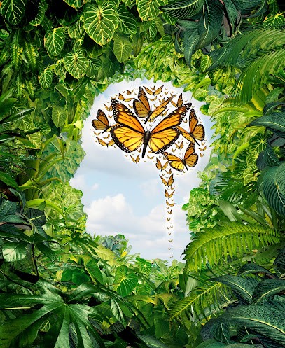 Maria Vieira, Praticien de Médecine Alternative à Reims