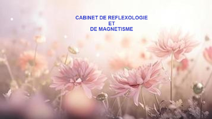 Bourrassier Virginie, Réflexologue à Saint-Pourçain-sur-Sioule