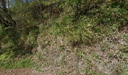 Harmonie Hypnose - Adeline Triscos, Hypnothérapeute au Port