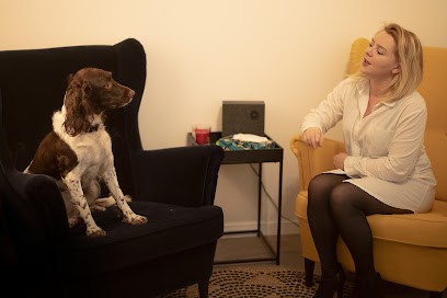 Anne Dubois Hypnothérapeute, Hypnothérapeute au Havre