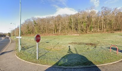 Naturo Santé, Praticien de Médecine Alternative à Noailles