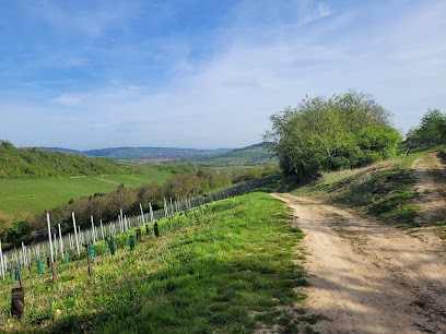 Virginie Gisselmann-Colin - Sophrologue - Mutzig, Praticien de Médecine Alternative à Mutzig