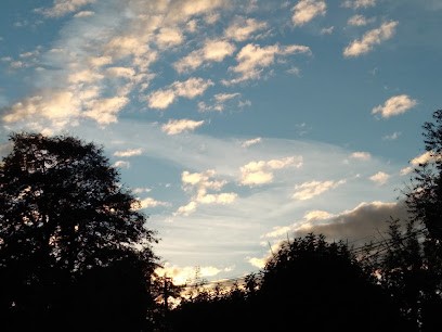 Brosillon Henry, Praticien de Médecine Alternative à Lasserre