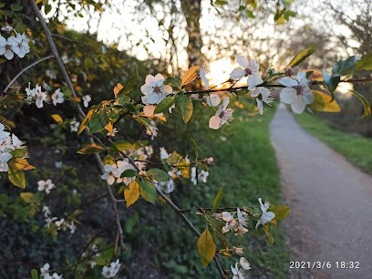 Milène WACHEUX Sophrologue, Praticien de Médecine Alternative au Mesnil-Esnard