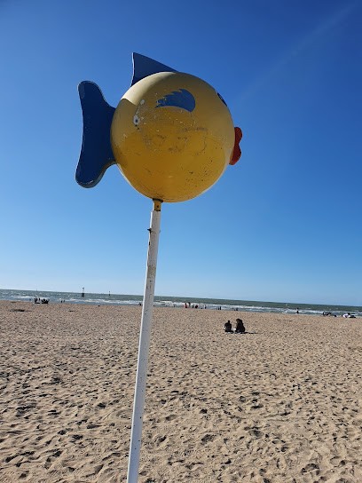 Carole Decambeaux Sophro Analyste Et Soohrologur, Praticien de Médecine Alternative à Deauville