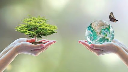 Séverine Nafré - Cabinet OmsZen - Sophrologue - Atelier en Art Thérapie ‍, Praticien de Médecine Alternative à Saint-Pierre-du-Perray