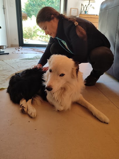 Fiséki, Praticien de Médecine Alternative à Montvalen