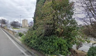 Papillons Vers - Valérie PAONE - Energéticienne- Hypnose - Soins Quantiques - Nettoyage Des Karmas - Accompagnement Flammes Jumelles - La Trame - Eveilleuse D'âmes - Cours De Yoga, Hypnothérapeute à Marseille 15