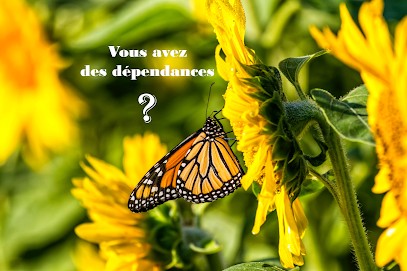 Pauline Hypnose, Hypnothérapeute à Flagnac