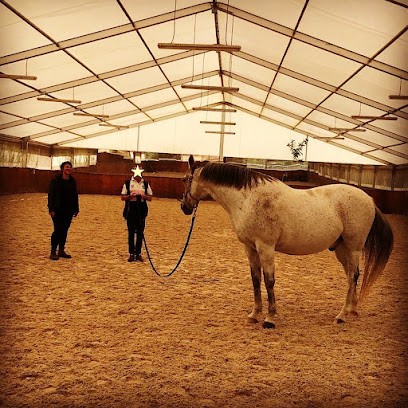 Animosphère, Praticien de Médecine Alternative à Marcilly-le-Châtel