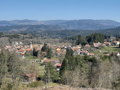 Michael Mejri - Sophrologue Hypnotherapeute, Praticien de Médecine Alternative à Saulxures