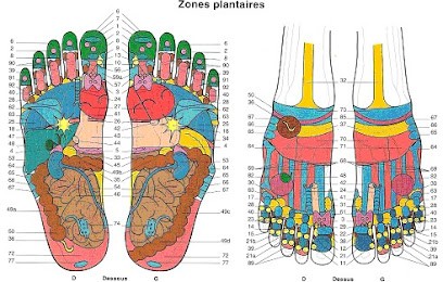 Eve GUARDIA Réflexologie Plantaire - Thérapie Manuelle Douce, Réflexologue à Sigean