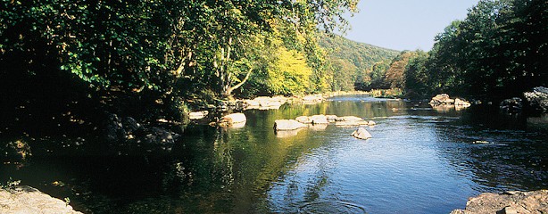 Cabinet de thérapies alternatives Sedan Ardennes, François Cambou, thérapeute, Praticien de Médecine Alternative à Sedan
