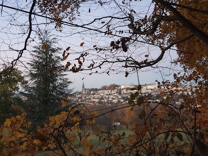 Réflexologie Atrapuncture Anne Terracol, Réflexologue à Angoulême