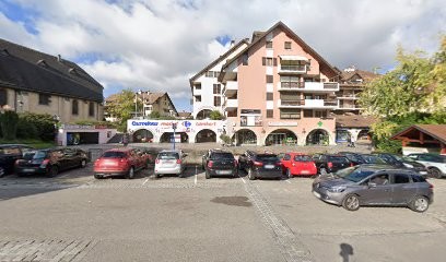 Sylvie Lappe - Réflexologue - Praticien Bye Bye Allergies - Le Juste équilibre, Réflexologue à Saint-Julien-en-Genevois