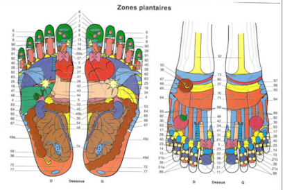 Reflexologie & Massages - Relax' Et Vous Réflexologue à Ornézan
