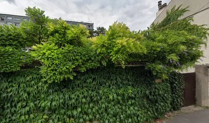 Le Chevalier Philippe, Praticien de Médecine Alternative à Joinville-le-Pont