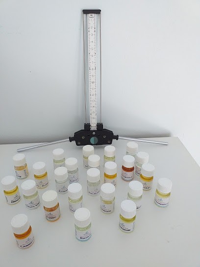 Noémie Varado : Bioénergéticienne et Géobiologue, Praticien de Médecine Alternative à Pamiers