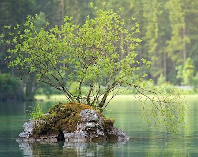 Téravie - Thérapeute EFT - Pleine Conscience - Constellation Familiale -hypnose Bqh, Hypnothérapeute à Manosque