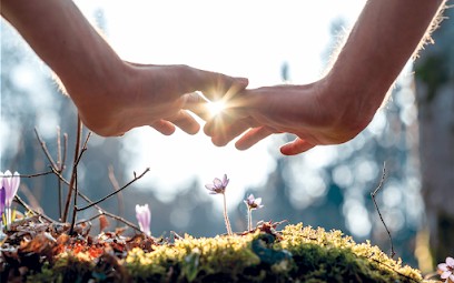 Fleurs De Bach - Soins énergétiques - Marion Kergadallan énergéticienne Holistique, Praticien de Médecine Alternative à Verfeil