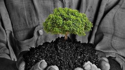 Sophie Maumet - Sophrologue à Angers et Jarzé, Praticien de Médecine Alternative à Angers