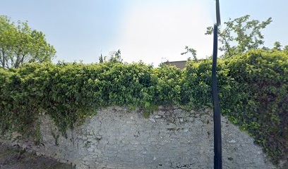 Mireille Darnaud, Praticien de Médecine Alternative à Chamant