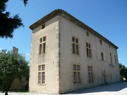 Sylvia Boulnois, Praticien De Médecine Alternative à Aix-en-Provence