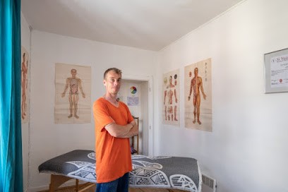 Vincent RAUDIN - Praticien En énergétique Traditionnelle Chinoise, Praticien de Médecine Alternative à Redon