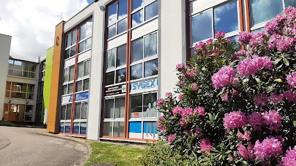 MEDECINE CHINOISE - ACUPUNCTURE - Violène PERICOT, Praticien de Médecine Alternative à Quimper