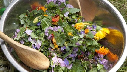 Guy Lalière, Praticien de Médecine Alternative à Perrier