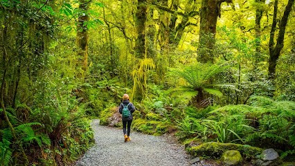 Rose Canler - Hypnose Thérapeutique D'accompagnement - Hypnothérapeute Suresnes Puteaux, Hypnothérapeute à Suresnes